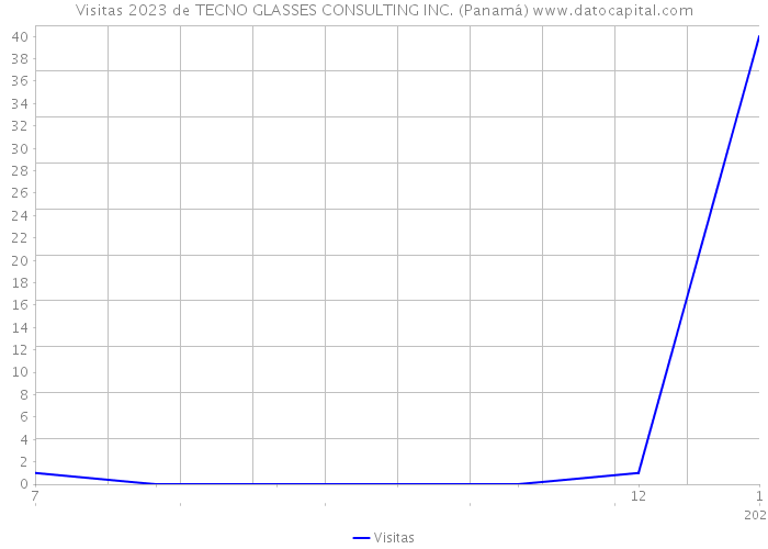 Visitas 2023 de TECNO GLASSES CONSULTING INC. (Panamá) 