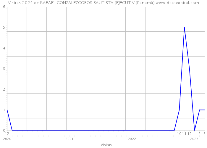 Visitas 2024 de RAFAEL GONZALEZCOBOS BAUTISTA (EJECUTIV (Panamá) 