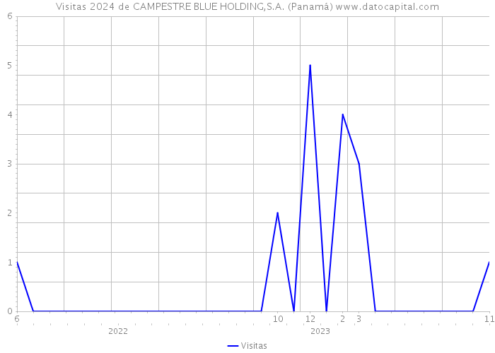 Visitas 2024 de CAMPESTRE BLUE HOLDING,S.A. (Panamá) 
