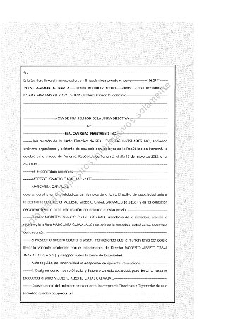 Board appointment minutes (página 20)